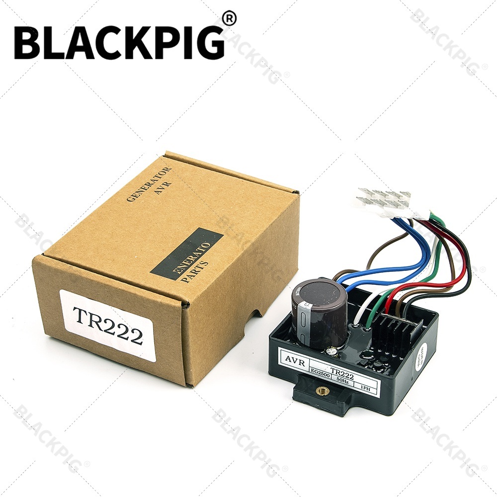 TR222 EG2500 AVR Otomatik Volt - Cycloidal Reducer Bldc Motor incelemesi ve fiyatı